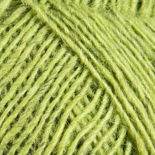 Fjällalopi - 3032 - Rockweed